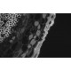 Zeiss Axiocam 702 CMOS Monochrome Microscope Camera
