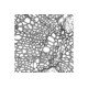 Nikon Ti2-E PFS N-SIM Super-Resolution Inverted Motorized Microscope with Dual Fluorescence Illumination Nikon Ti2-E PFS N-SIM Super-Resolution Inverted Motorized Microscope with Dual Fluorescence Illumination
