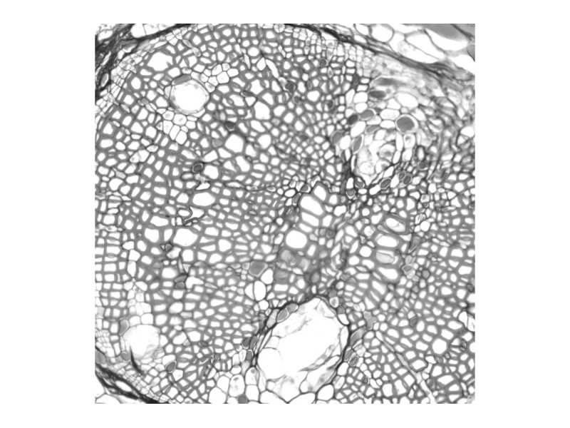 Nikon Ti2-E PFS N-SIM Super-Resolution Inverted Motorized Microscope with Dual Fluorescence Illumination Nikon Ti2-E PFS N-SIM Super-Resolution Inverted Motorized Microscope with Dual Fluorescence Illumination