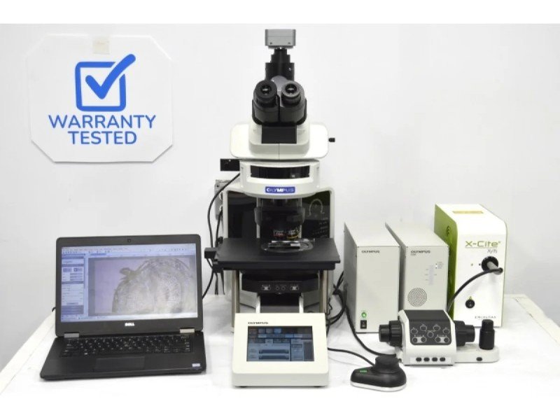 Olympus BX63 Upright Fluorescence Motorized Microscope BX63F (New Filters) Olympus BX63 Upright Fluorescence Motorized Microscope BX63F (New Filters)
