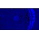 Olympus BX63 Upright Fluorescence Motorized Microscope BX63F (New Filters) Olympus BX63 Upright Fluorescence Motorized Microscope BX63F (New Filters)