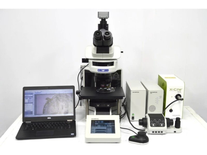 Olympus BX63 Upright Fluorescence Motorized Microscope BX63F (New Filters) Olympus BX63 Upright Fluorescence Motorized Microscope BX63F (New Filters)