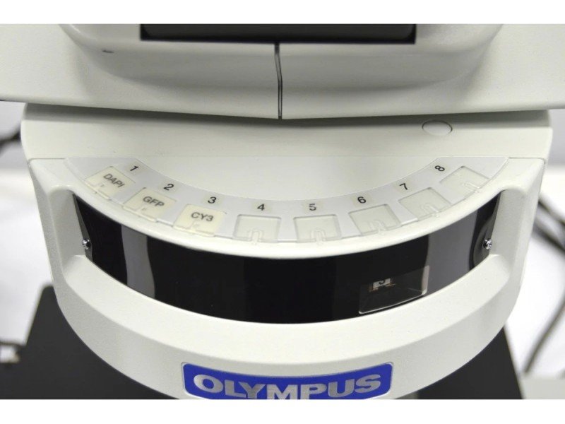 Olympus BX63 Upright Fluorescence Motorized Microscope BX63F (New Filters) Olympus BX63 Upright Fluorescence Motorized Microscope BX63F (New Filters)