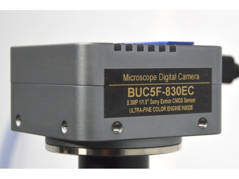 Olympus BX63 Upright Fluorescence Motorized Microscope BX63F (New Filters) Olympus BX63 Upright Fluorescence Motorized Microscope BX63F (New Filters)