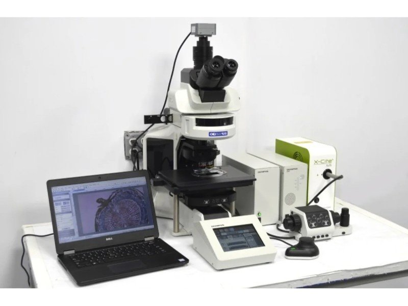 Olympus BX63 Upright Fluorescence Motorized Microscope BX63F (New Filters) Olympus BX63 Upright Fluorescence Motorized Microscope BX63F (New Filters)