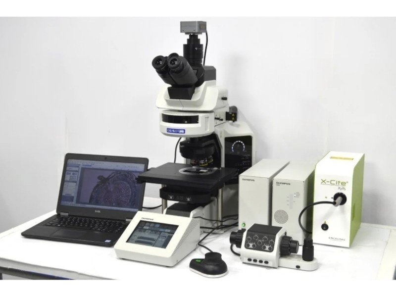 Olympus BX63 Upright Fluorescence Motorized Microscope BX63F (New Filters) Olympus BX63 Upright Fluorescence Motorized Microscope BX63F (New Filters)
