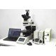 Olympus BX63 Upright Fluorescence Motorized Microscope BX63F (New Filters) Olympus BX63 Upright Fluorescence Motorized Microscope BX63F (New Filters)