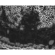 Zeiss Axiocam 506 Monochrome CMOS Microscope Camera