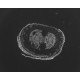 Zeiss Axiocam 506 Monochrome CMOS Microscope Camera