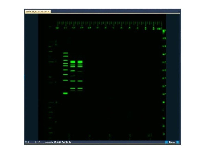 Azure Biosystems Sapphire RGBNIR Biomolecular Imager w/ Chemiluminescent Upgrade