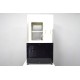 Fluid Imaging Technologies FlowCam 8100 Particle Analyzer w/ ALH System