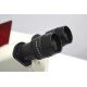 Leica DMi8 Inverted LED Fluorescence Motorized Microscope (New Filters) Leica DMi8 Inverted LED Fluorescence Motorized Microscope (New Filters)