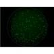 CTL ImmunoSpot S6 Universal M2 Analyzer Unit 2