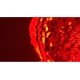 Leica DMi8 Inverted LED Fluorescence Encoded Microscope (New Filters)