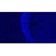 Leica DMi8 Inverted LED Fluorescence Encoded Microscope (New Filters)