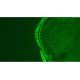 Leica DMi8 Inverted LED Fluorescence Encoded Microscope (New Filters)