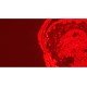 Leica DMi8 Inverted LED Fluorescence Encoded Microscope (New Filters)