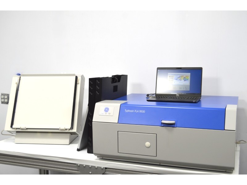 GE Cytiva Typhoon FLA 9500 Fluorescence Laser Scanner Biomolecular Imager w/ FLA Image Eraser