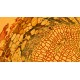 Olympus IX73 Fluorescence Inverted Microscope (New Filters)