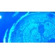 Olympus IX73 Fluorescence Inverted Microscope (New Filters)