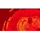 Olympus IX73 Fluorescence Inverted Microscope (New Filters)