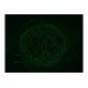 Leica DMi8 Inverted LED Fluorescence Motorized Microscope w/ Adaptive Focus Control (New Filters) Leica DMi8 Inverted LED Fluorescence Motorized Microscope w/ Adaptive Focus Control (New Filters)