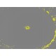 Sartorius Essen IncuCyte S3 Live-Cell Imaging and Analysis System w/ G/R Optical Module