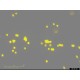 Sartorius Essen IncuCyte S3 Live-Cell Imaging and Analysis System w/ G/R Optical Module