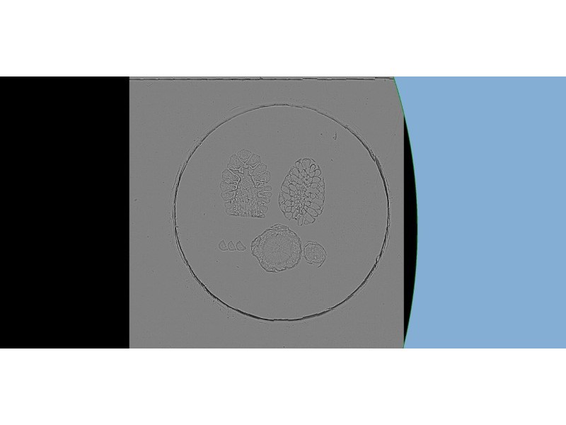 Synentec NyOne V 3.1 Basic Cell Imager Analyzer, YOM2024