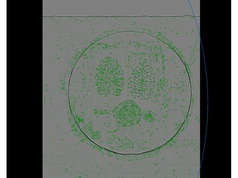 Synentec NyOne V 3.1 Basic Cell Imager Analyzer, YOM2024