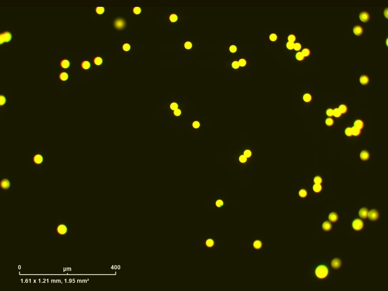 Sartorius Essen IncuCyte S3 Live-Cell Imaging and Analysis System w/ G/R Optical Module Unit 2