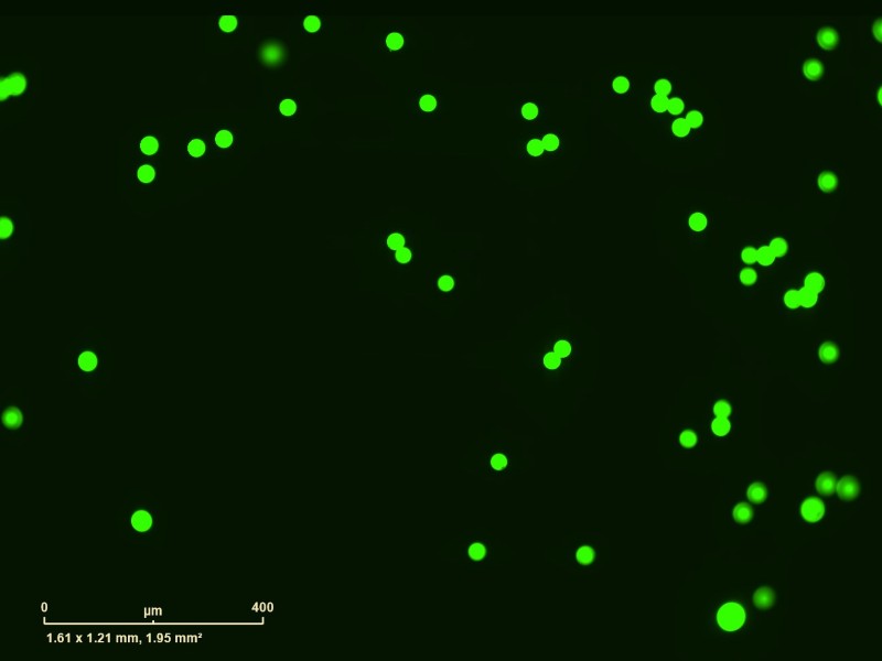 Sartorius Essen IncuCyte S3 Live-Cell Imaging and Analysis System w/ G/R Optical Module Unit 2