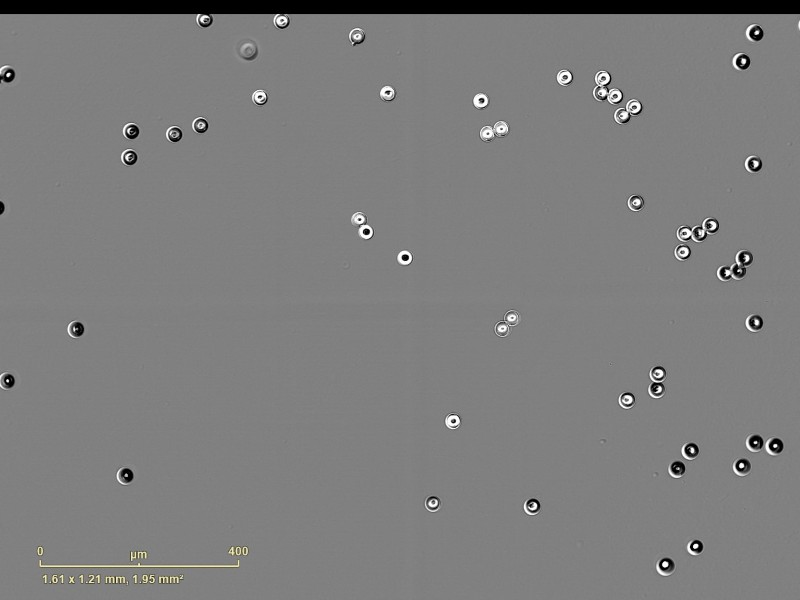 Sartorius Essen IncuCyte S3 Live-Cell Imaging and Analysis System w/ G/R Optical Module Unit 2