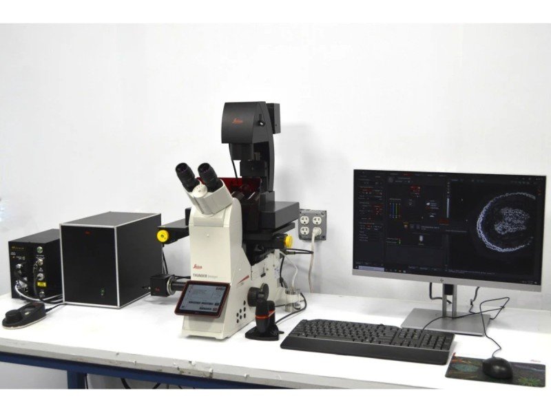 Leica DMi8 THUNDER Imager Motorized Inverted Fluorescence Microscope w/ Adaptive Focus Control Leica DMi8 THUNDER Imager Motorized Inverted Fluorescence Microscope w/ Adaptive Focus Control