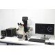 Leica DMi8 THUNDER Imager Motorized Inverted Fluorescence Microscope w/ Adaptive Focus Control Leica DMi8 THUNDER Imager Motorized Inverted Fluorescence Microscope w/ Adaptive Focus Control