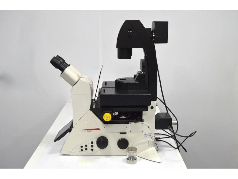 Leica DMi8 THUNDER Imager Motorized Inverted Fluorescence Microscope w/ Adaptive Focus Control Leica DMi8 THUNDER Imager Motorized Inverted Fluorescence Microscope w/ Adaptive Focus Control