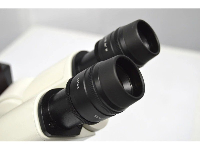 Leica DMi8 THUNDER Imager Motorized Inverted Fluorescence Microscope w/ Adaptive Focus Control Leica DMi8 THUNDER Imager Motorized Inverted Fluorescence Microscope w/ Adaptive Focus Control