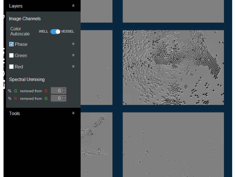 Essen IncuCyte S3 Live-Cell Imaging and Analysis System w/ G/R Optical Module