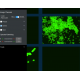 Essen IncuCyte S3 Live-Cell Imaging and Analysis System w/ G/R Optical Module