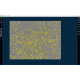 Sartorius Essen Incucyte S3-C2 Live-Cell Analysis System w/ IncuStore S Storage Expansion Module, G/R Fluorescence