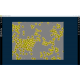 Sartorius Essen Incucyte S3-C2 Live-Cell Analysis System w/ IncuStore S Storage Expansion Module, G/R Fluorescence