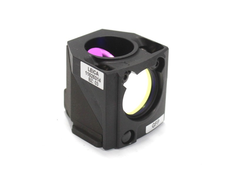 Leica DMi8 Stellaris 5 Confocal Laser Scanning Fluorescence Microscope System with AFC Module