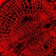 Leica DMi8 Stellaris 5 Confocal Laser Scanning Fluorescence Microscope System with AFC Module