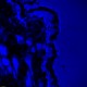 Leica DMi8 Stellaris 5 Confocal Laser Scanning Fluorescence Microscope System with AFC Module