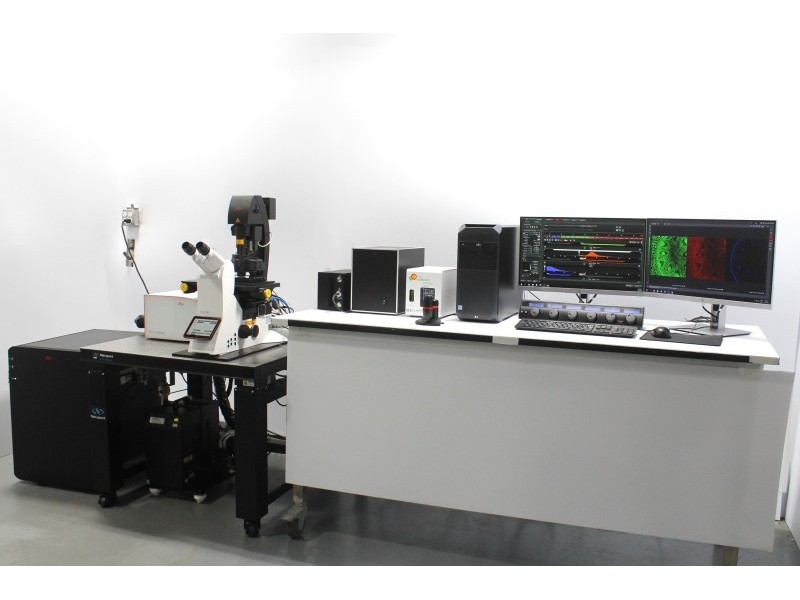 Leica DMi8 Stellaris 5 Confocal Laser Scanning Fluorescence Microscope System with AFC Module