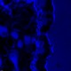 Leica DMi8 Stellaris 5 Confocal Laser Scanning Fluorescence Microscope System with AFC Module
