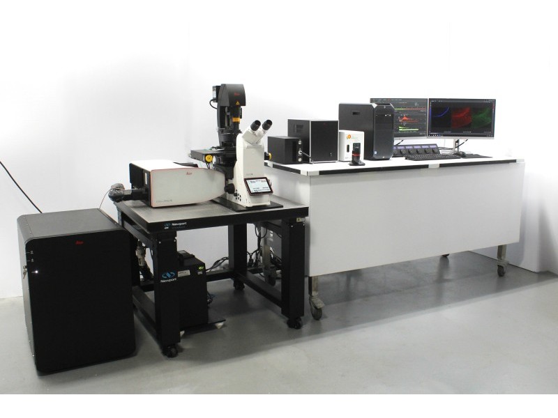 Leica DMi8 Stellaris 5 Confocal Laser Scanning Fluorescence Microscope System with AFC Module