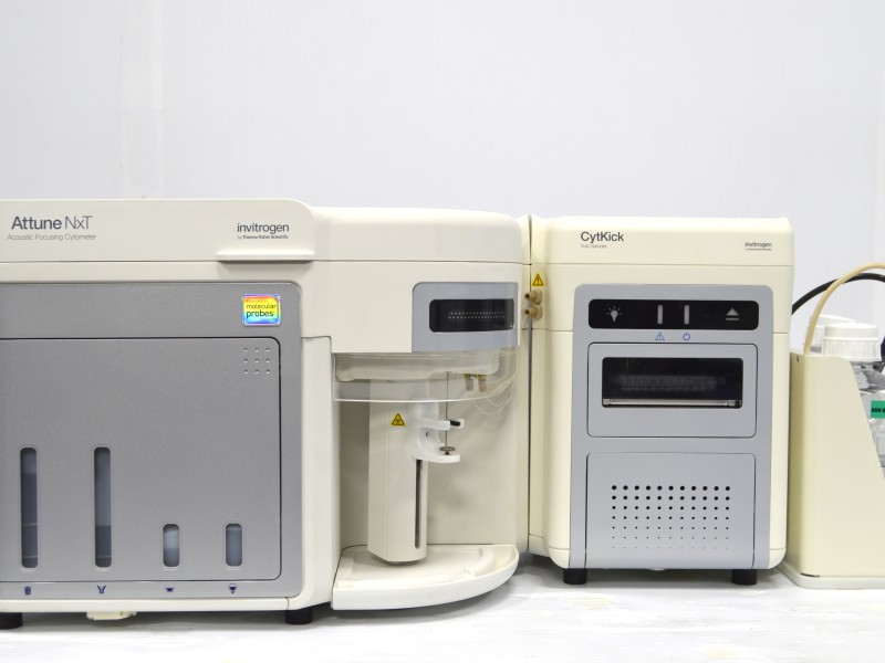 Thermo Attune NxT Acoustic Focusing Cytometer AFC2 (2)Lasers/(9)Colors/(11)Detectors w/ Cytkick Autosampler
