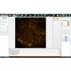 Revvity Perkin Elmer Operetta CLS High Content Confocal Imaging Analysis System