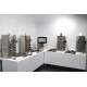 Sartorius Biostat B-DCU 4-Fold Cell Culture Single Use Bioreactor System